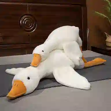 50cm90cm160cm