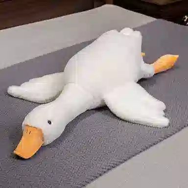 50cm90cm160cm