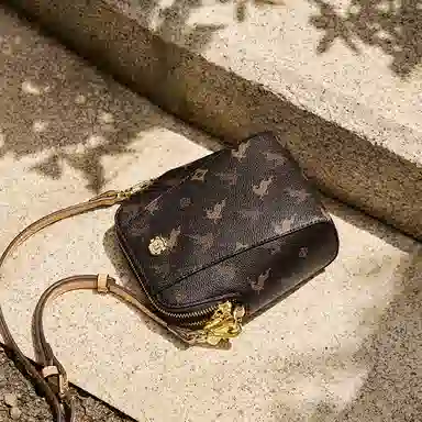 Nalandu Mini PVC Phone Bag