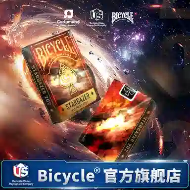 BICYCLE 202