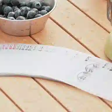 BICYCLE PVC