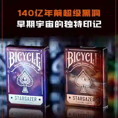 BICYCLE 202