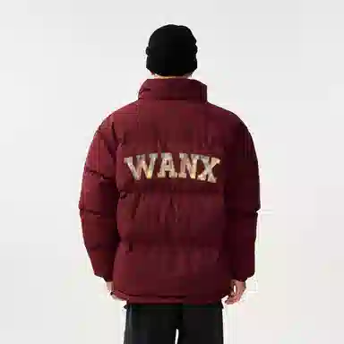 WANX Logo