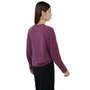 晚白 绵羊毛软糯不扎肤高弹力针织衫 女款 紫色