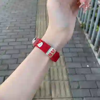 CHENSONG ins98nfc654321 206mm