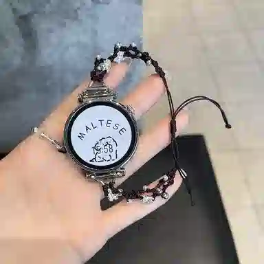 CHENSONG GT4gt3watch4Pro