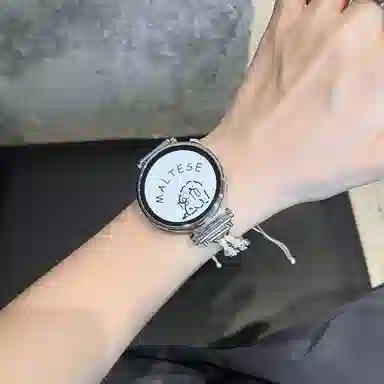 CHENSONG GT4gt3watch4Pro