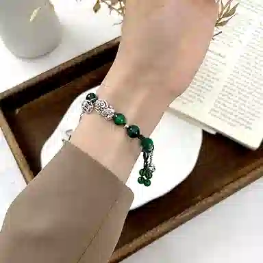 CHENSONG GT4gt3watch4ProGS4