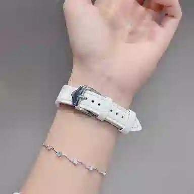 CHENSONG S10iwatch9applewatch7654se