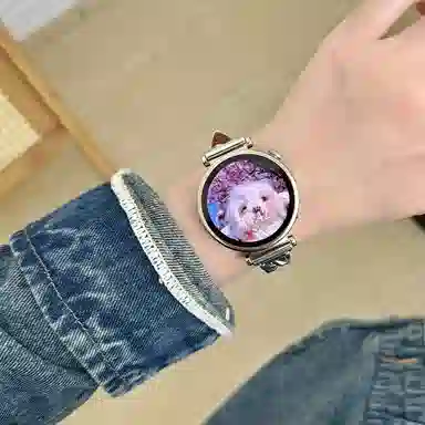CHENSONG GT4gt3watch4Pro
