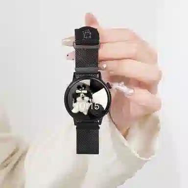 CHENSONG -22mm gt4GT3watch43pro