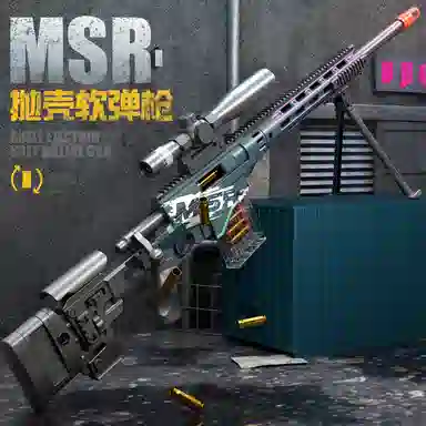 MSR