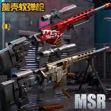 MSR