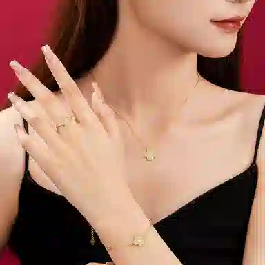 ins S925