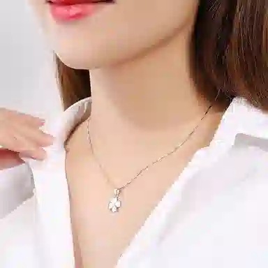 ins S999