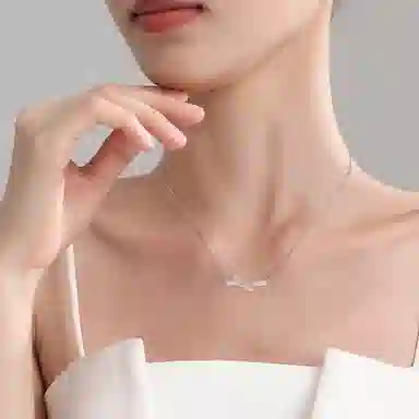 ins S925