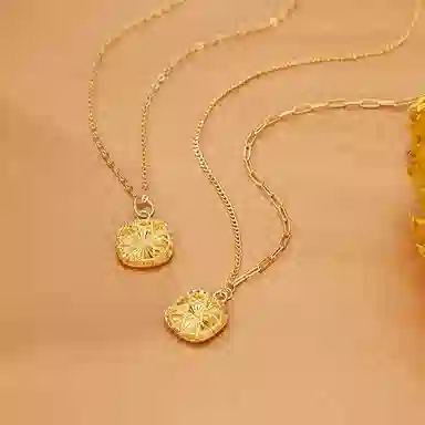 ABINS S925