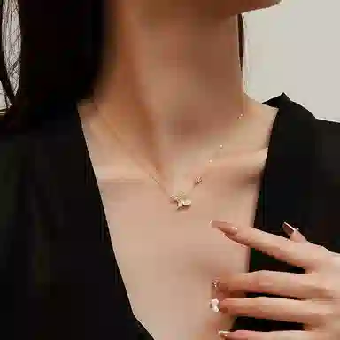 ins S925