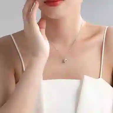 ins S925