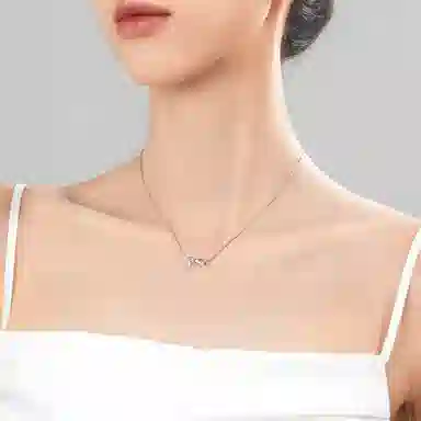 ins S925