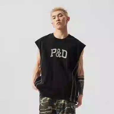 PILOTDRAGON PD