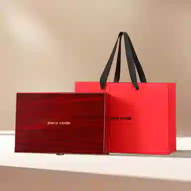 PIERRE CARDIN 3.45CM