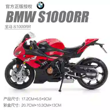 BMWS100rr