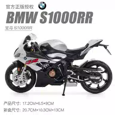 BMWS100rr