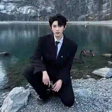 NEVER RULE vintageins