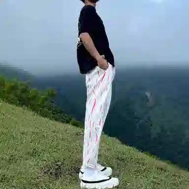 WHELVE