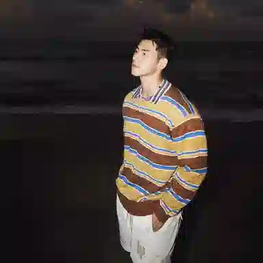 WHELVE poloPOLO
