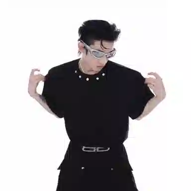 WHELVE T