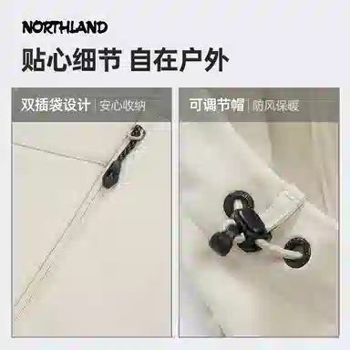 NORTHLAND PROFESSIONAL