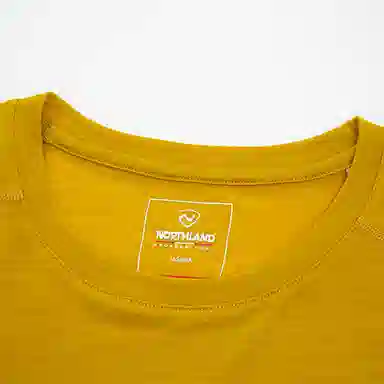 NORTHLAND PROFESSIONAL T