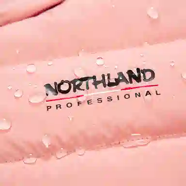 NORTHLAND PROFESSIONAL