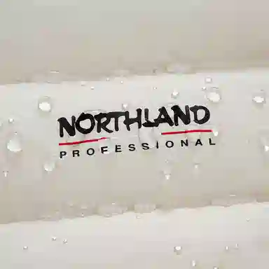 NORTHLAND PROFESSIONAL