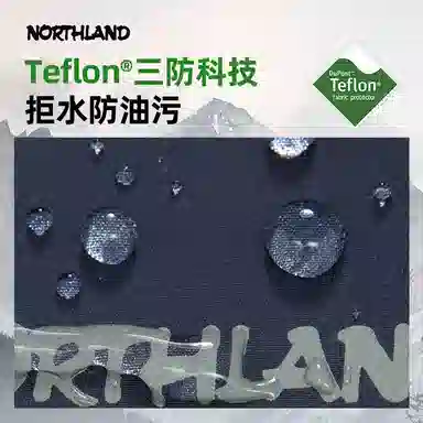 NORTHLAND PROFESSIONAL