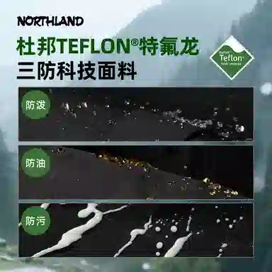 NORTHLAND PROFESSIONAL