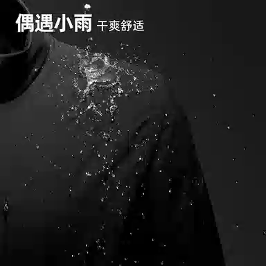 NORTHLAND PROFESSIONAL