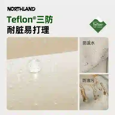 NORTHLAND PROFESSIONAL