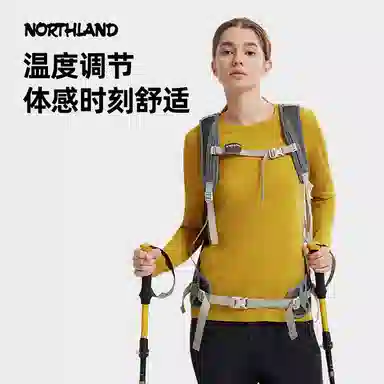 NORTHLAND PROFESSIONAL T