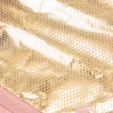 NORTHLAND PROFESSIONAL