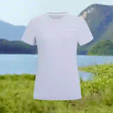 NORTHLAND PROFESSIONAL T