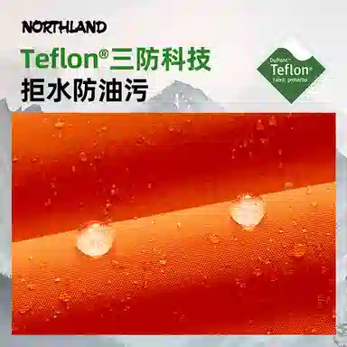 NORTHLAND PROFESSIONAL