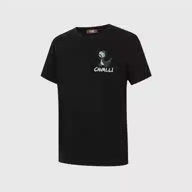 Cavalli Class T
