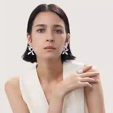 ins 925