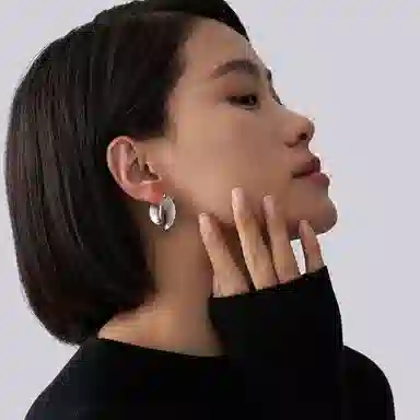 ins 925