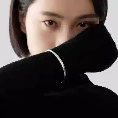 ins 925