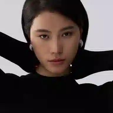 ins 925