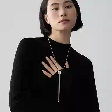 ins 925